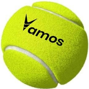 Vamos Dzierżoniów 2026